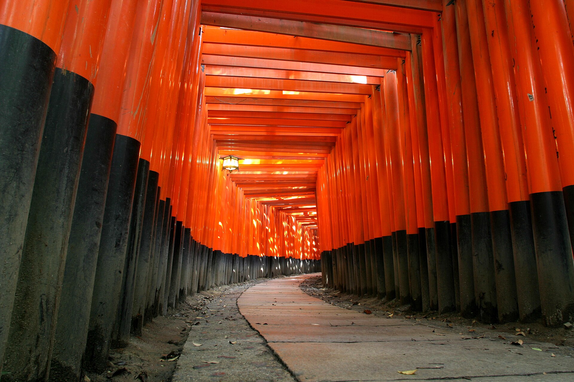 伏見稲荷大社の外観・風景