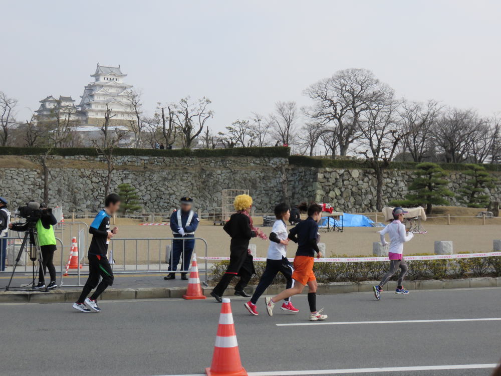 Exterior view of Himeji Castle