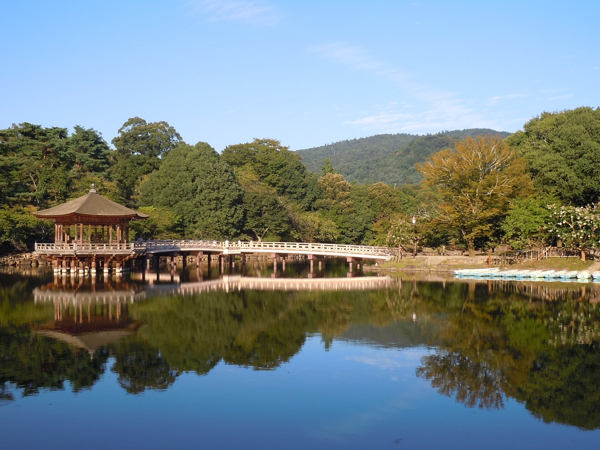 奈良公園の外観・風景