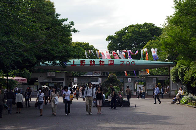 上野動物園（恩賜上野動物園）外觀與園區景色